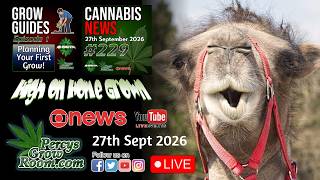 Cannabis Neighbour Disputes, £13.8m Import Plot & Medical Cannabis Expands | Grow Guides Series 3