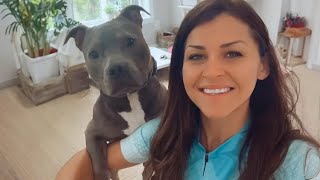 Funny Dog and Human Videos That Will Thrill Your Soul by MAI PM 382,209 views 6 days ago 9 minutes, 58 seconds