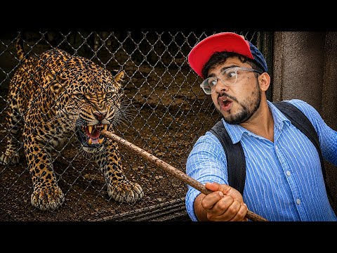 Spending a Day Inside a Zoo ! 