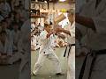 Little Karate Boy Shocks Everyone 💥🥋 #shorts #shortvideo #short #trending #viral