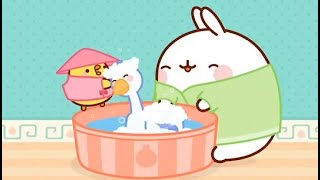 Molang - THE GOOSE 🌸 Best Cartoons for Babies - Super Toons TV