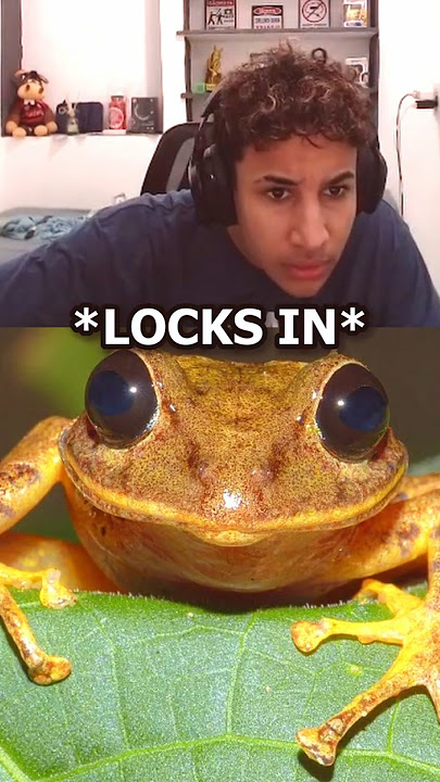 Download lagu Tota Can't Believe This Speed's Old Video ππ