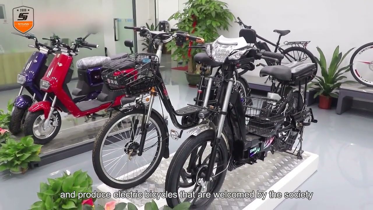 Long Range E-Moped