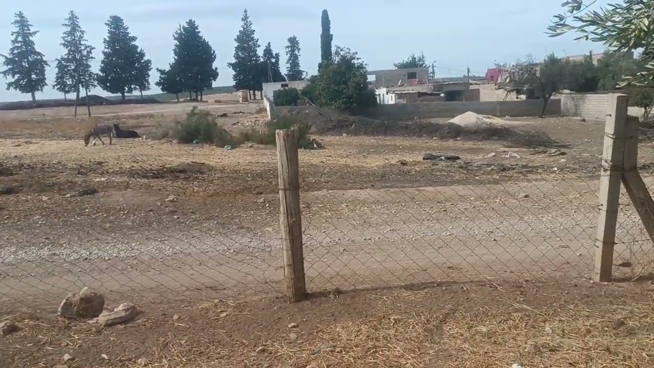 فيرما للبيع بين صفرو فاس  22 مليون. محافظه تيتر زيتون طريق ضوء سكان جانبها 0679444657