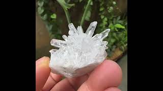 Video preview: Chrysanthemum Quartz — Sichuan, China | Natural Mineral Specimen