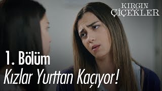 Kızlar yurttan kaçıyor! - Kırgın Çiçekler 1. Bölüm