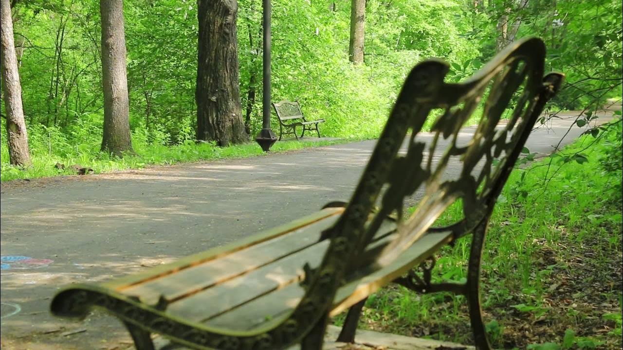 Дендрарий хабаровск фото