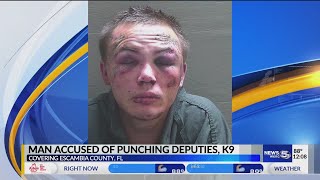 VIDEO:   Man accused of punching ECSO deputies, K9