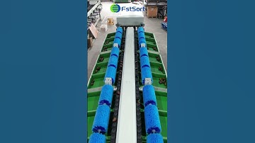 2 lane  avocado weight sorting machine citrus grading line fruit processing equipment