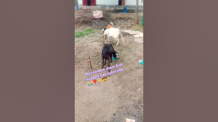 टूटा हुआ छोड़ दिया बड़ी ग़ज़ब कला है हाथो में #humanity #trend #younickviral #younickviralvlogs#