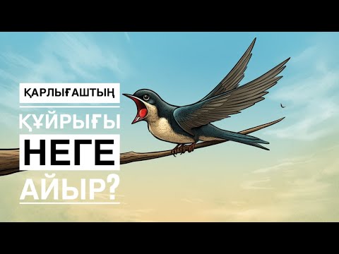 Майлы есектері бар ханымдар фотосуреттері