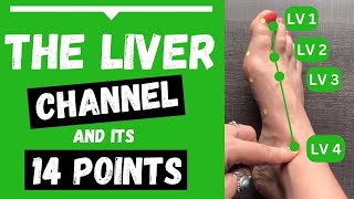 Liver Channel Meridian - 14 Liver Acupuncture Points (Functions & Locations)