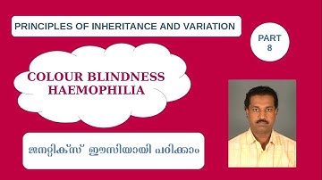 Principles of Inheritance |Part 8| Colour Blindness| Haemophilia|Class 12| Zoology|Biju TL