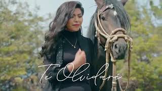 Video thumbnail of "YARITA LIZETH YANARICO - TE OLVIDARÉ  (Primicia 2019)"