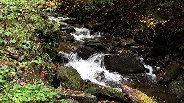 Delaware Riverkeeper Network video Stream Buffer Workshop