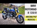 BMW MOTORRAD R 1250 R - ancora più muscoli!