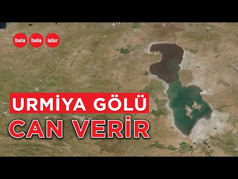 Video: Berryessa gölündə niyə dəlik var?