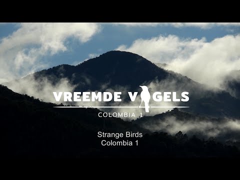 Documentary: The amazing nature of central Colombia first episode