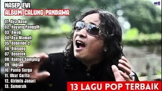 Album Nasep Evi Calung Pandawa (Official Audio)