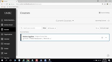 How Do I Access Panopto from Blackboard