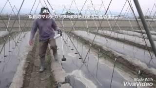 【なす】2016年4月27日マルチバーナー登場！