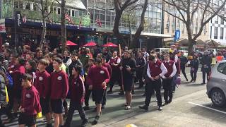 مسيرة للسكان الاصليين في نيوزلندا قبائل الماوري