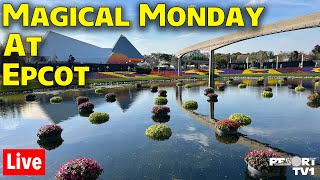 Live: Magical Monday At Epcot's Flower & Garden Festival  Walt Disney World Live Stream   5624