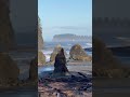 Ruby Beach with nobody else there. #beachvibes #olympicnationalpark #neilyoung