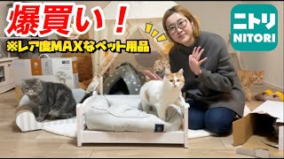 【ニトリ】おすすめレア度MAXの猫グッズ爆買い！