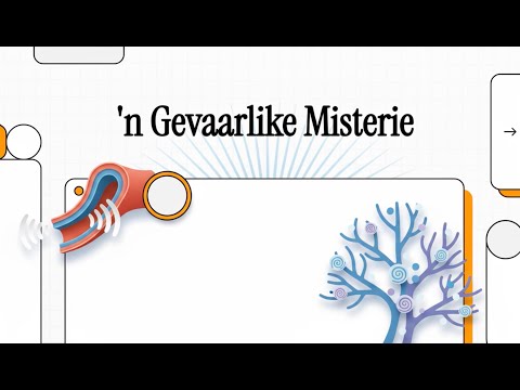 025 'n Gevaarlike Misterie