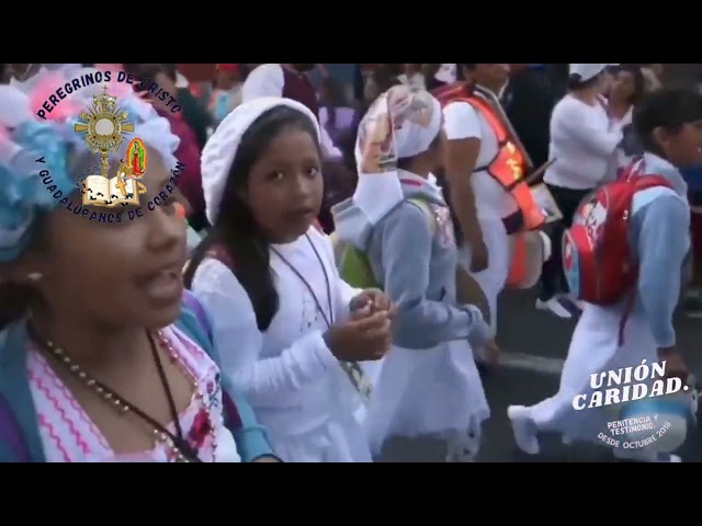 Diócesis de Querétaro hacia el Tepeyac.... class=