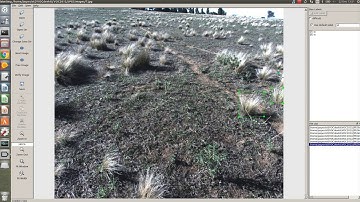 Faster RCNN Weed Object Detection - Part 1