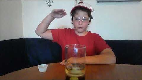 Density In Nature Experiment 1 1