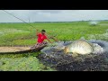 Best Boat Fishing ❤️ Unbelievable Bamboo Crossbowfishing ❤️ Unique & Best Bow Fishing From Boat.