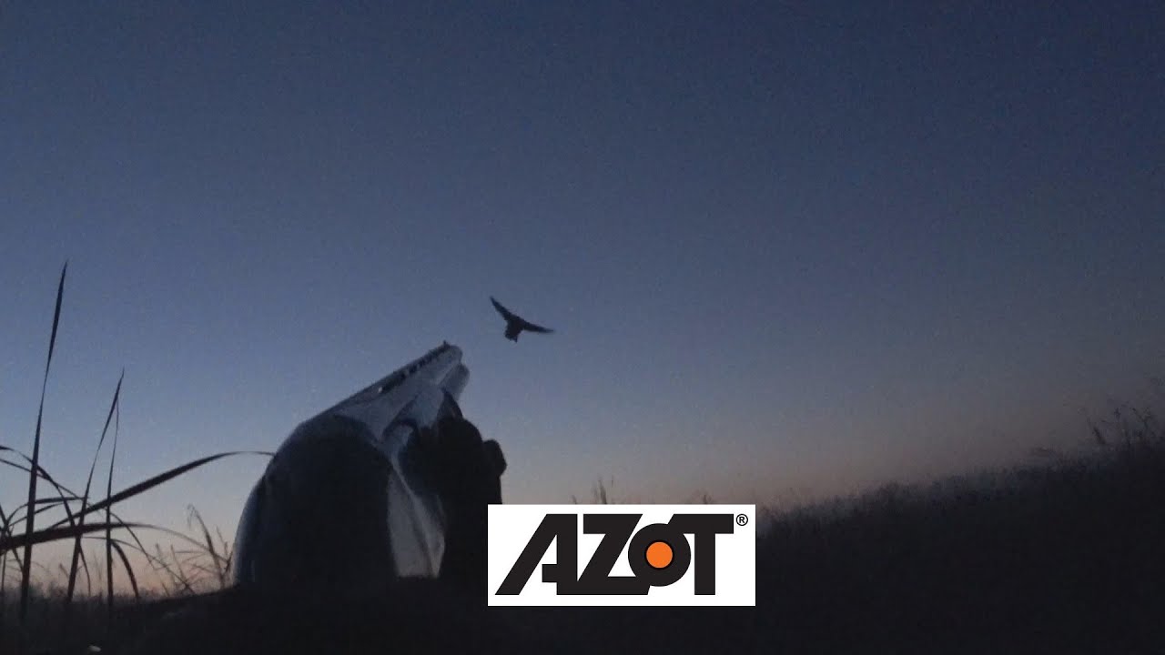 Рассвет, туман, звуки манка нарушают тишину и утки на голову садятся ...