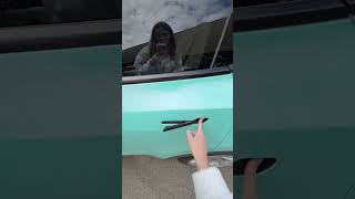 🔐How to unlock Tesla? #automobile #tesla