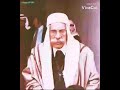 حلات واتس اب سلطان باشا
