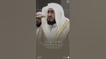 تلاوة من سورة السجدة للشيخ د. #بندر_بليلة -حفظه الله-.