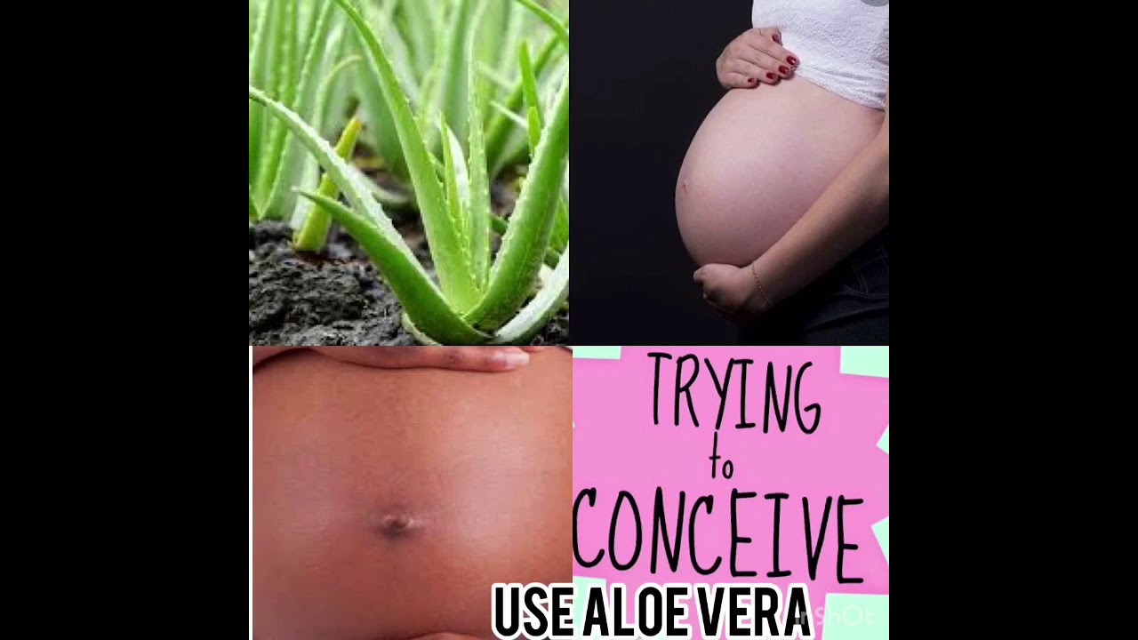 Clean your Uterus(womb)Get pregnant fast with Aloe Vera
