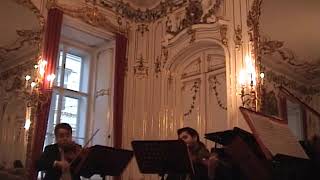 R.Schumann klavier Quintett Es-Dur op.44-2nd  Kako Rosa Piano