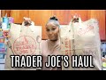 Trader Joe&#39;s Haul | Vlog FAIL