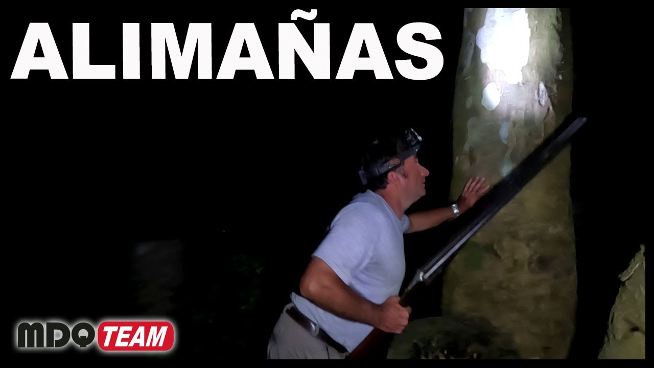 Cacería de alimañas