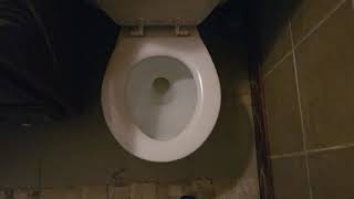 1970 American Standard Cadet Rounded Bowl toilet (+ Some of Gary Lupiens Collection)