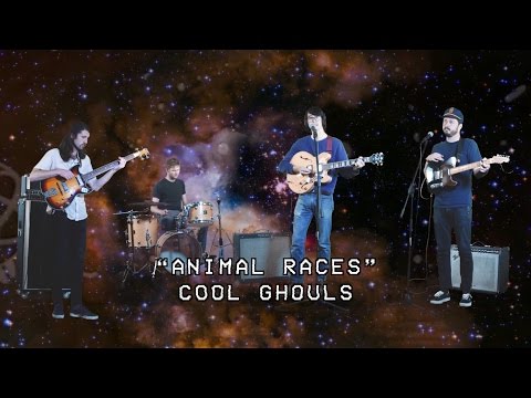 Cool Ghouls - Animal Races (Official Video)