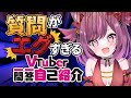 異常すぎるVtuber一問一答自己紹介 #個人vtuber