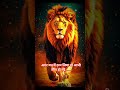 अगर मन में ठान लिया तो आधी जीत हो गई...#short#video#trend...