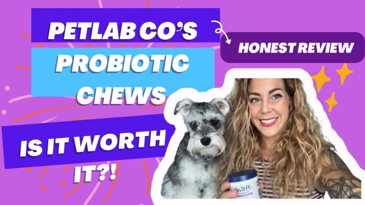 PetLab Co.’s Probiotic Chews Honest Review | Is it Worth it?!