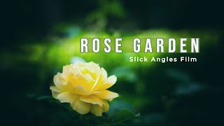Rose Garden Short Film screenshot 5