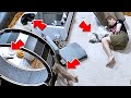 【モニタリング】主が寝ている時、猫は何をしているのか?