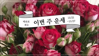 [타로/별자리운세]타로로 보는 주간 별자리 운세 11월 4째주(11/21-11/27)